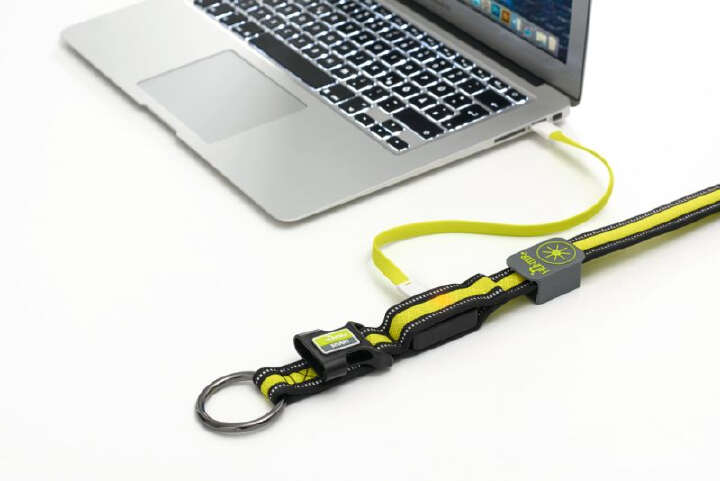 HUNTER LED-Leuchthalsband Manoa Glow